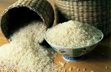 Thai government attempts to stabilise rice market 