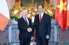 Vietnam, Ireland want to deepen multi-faceted cooperation