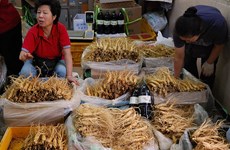 Vietnamese, RoK businesses seek to boost agri-product trading