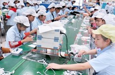 Japanese enterprises study investment environment in Ha Nam