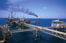 PetroVietnam’s 10-month profits surpass annual target