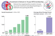 Investment in Vietnam  in 10-year WTO membership