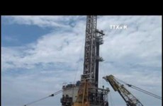PetroVietnam’s 10-month profits surpass annual target