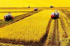 Ministry encourages focus on agricultural machinery 