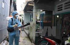Ba Ria – Vung Tau moves to contain Zika virus