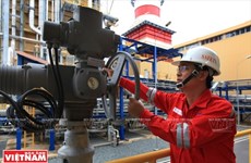 PetroVietnam proposes adding power plants to national grid