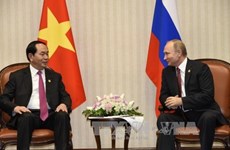 Vietnamese President meets Asia-Pacific leaders in Peru 