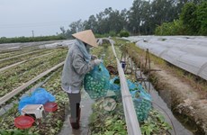 Int’l forum on new rural development opens in Hanoi