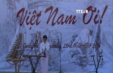 Vietnam cultural festival in Australia in full swing 