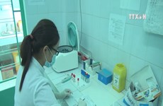Khanh Hoa beefs up prevention against Zika virus, dengue