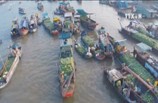 Tourism - important pillar in Vietnam’s economy: EIU