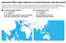 Submarine fiber optic cable lines connect Vietnam with the world