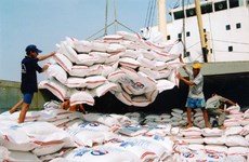 Vietnam’s rice export down nearly 26%