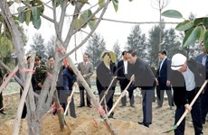 Localities launch tree planting festival