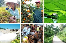 Japan, Vietnam  bolster link in agriculture