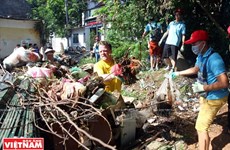 “Keep Hanoi Clean” green up capital city