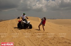 White Sand Dunes in PhanThiet attract tourists