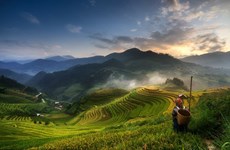 Vietnam photographer wins Sony Awards