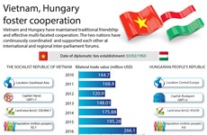 Vietnam, Hungary foster cooperation