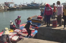 Fishery activities recover one year after Formosa incident