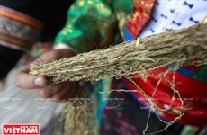 Flax weaving by Mong ethnics in Dong Van Karst Plateau