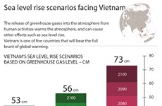 Sea level rise scenarios facing Vietnam