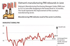 Vietnam’s manufacturing PMI rebounds in June