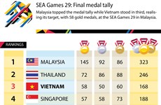 SEA Games 29: Final medal tally