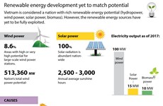 Renewable energy development yet to match potential