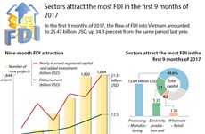 Sectors attract the most FDI in the first 9 months of 2017