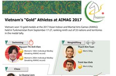 Vietnam’s “Gold” Athletes at AIMAG 2017