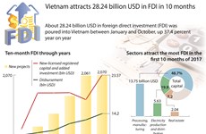 Vietnam attracts 28.24 billion USD in FDI during Jan-Oct