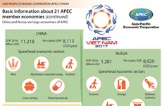 APEC 2017: Basic information about 21 APEC economies (continued)