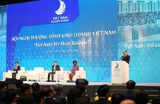 Vietnam Business Summit held in Da Nang city