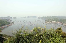Lively experience at Cat Ba World Biosphere Reserve 