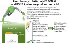 Only E5 RON 92, RON 95 petrol sold from 2018