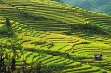 Mu Cang Chai named as worthy visit by US travel site