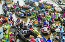 Adjustments to Mekong Delta master plan approved
