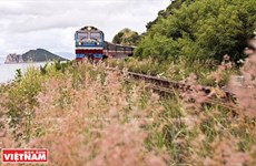 Travelling along Vietnam on rolling train wheels