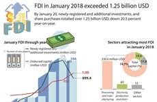 January FDI exceeds 1.25 billion USD 