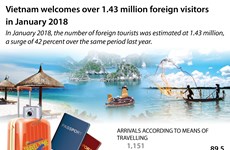 Vietnam welcomes over 1.43 million foreign visitors in January 