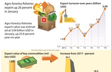 Agro-forestry-fisheries export up 26 percent in January