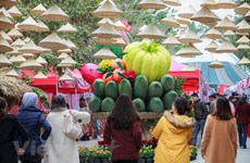 Fair features traditional Lunar New Year (Tet) in Ecopark