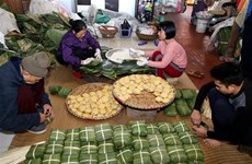 Traditional village makes about 468,600 Chung cakes before Tet
