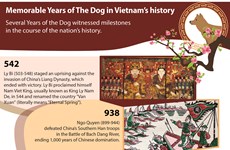 Memorable Years of The Dog in Vietnam's history