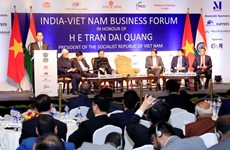 Vietnam wants deeper investment cooperation with India: President