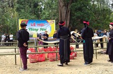 Cao Bang’s festival named national intangible heritage