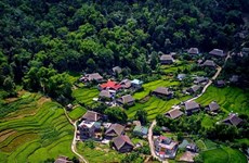Stunning view of Ha Giang’s natural landscapes in summer 