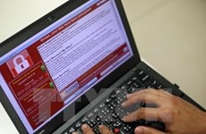 1.2 million computers in Vietnam infected with destructive virus
