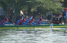 Traditional rowing contest kicks off in Binh Thuan